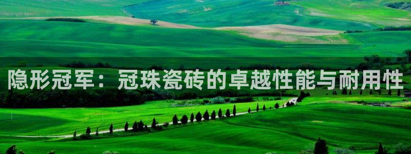 体育金年会