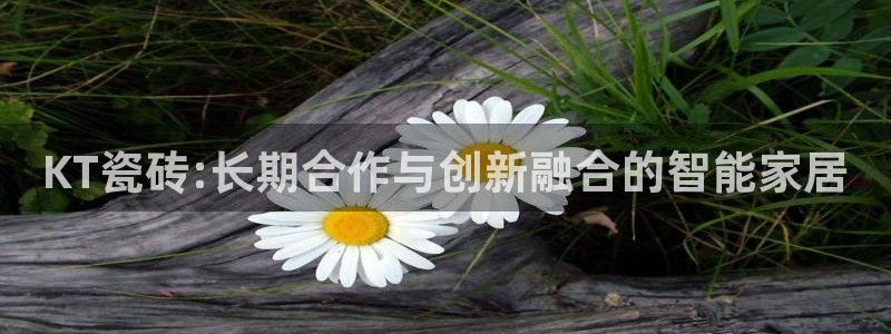 金金年会