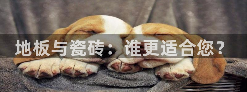 体育金年会