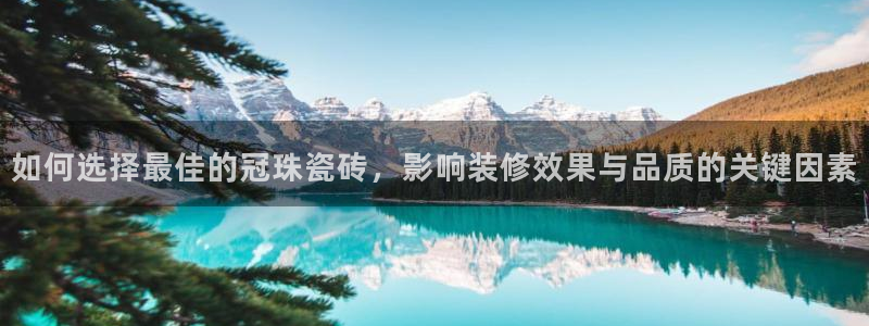 金年会品牌