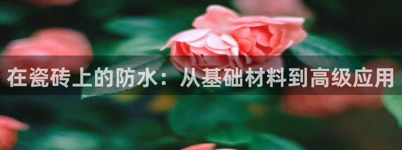 金年会现金网