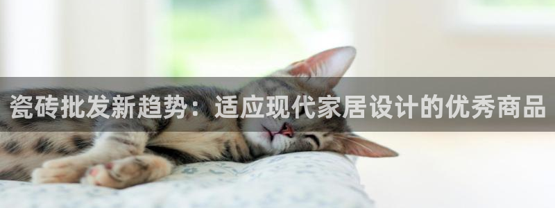 金年会app
