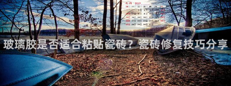 金年会电子游戏