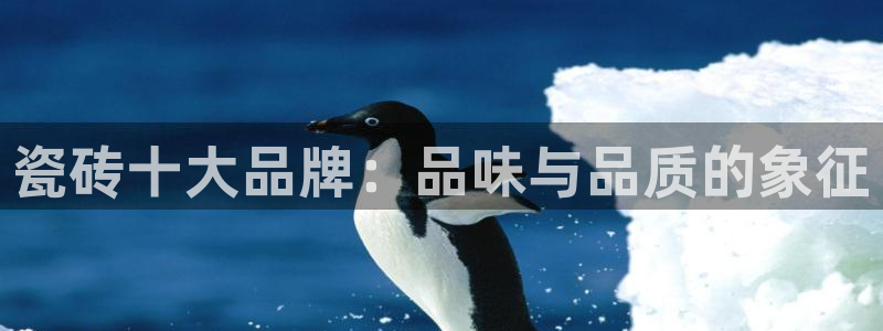 金年会国际