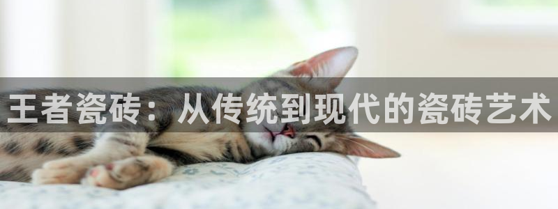 金年会.cc