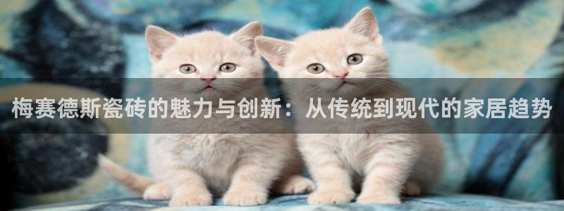 金年会com