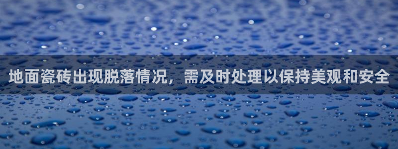 金年会黑网