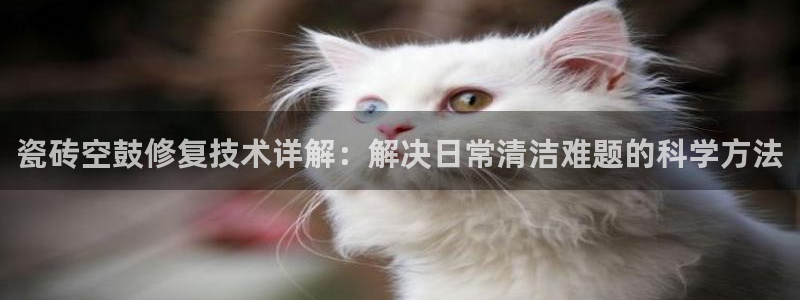 金帆年会2019