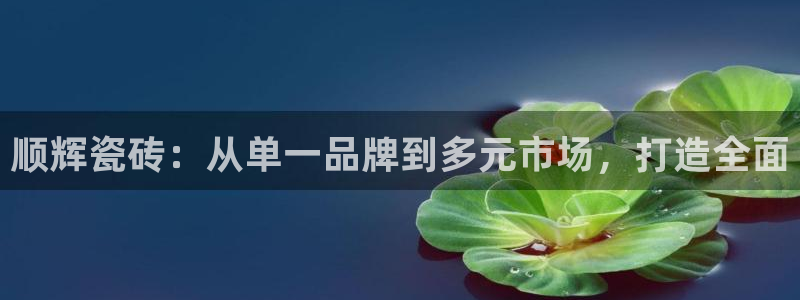金年会金年华