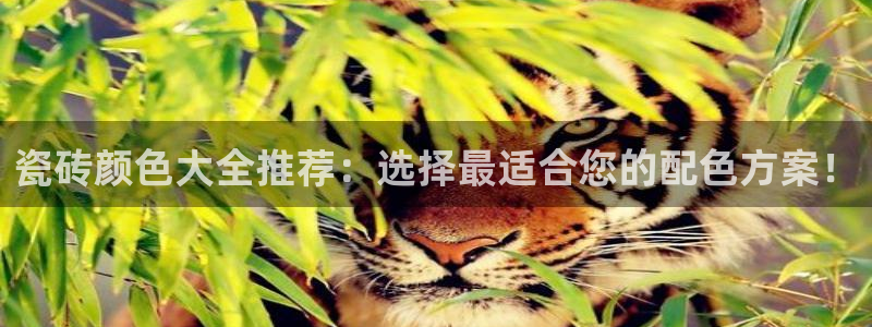 金年会金字招牌信誉至上
