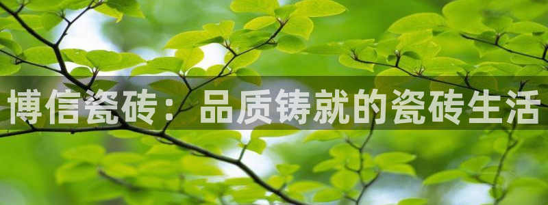 金年会投注官网