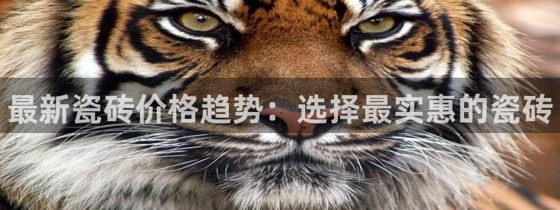 jinnian金年会