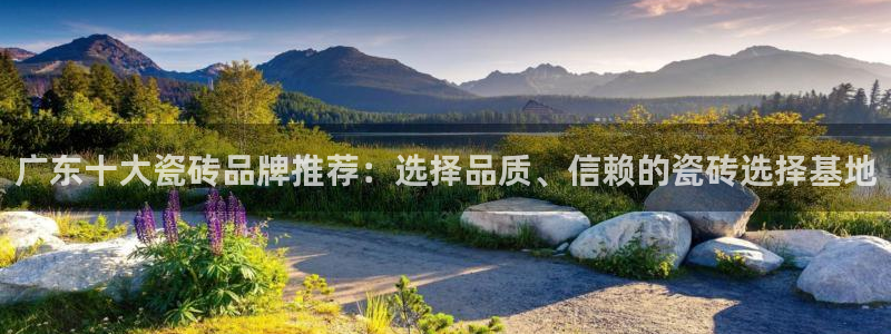 金年会官方体育登录入口