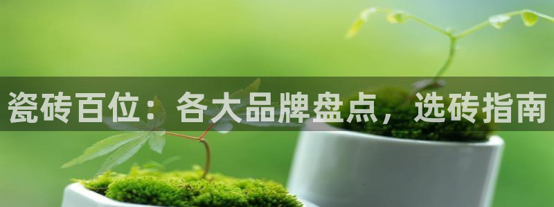 金年会体育平台