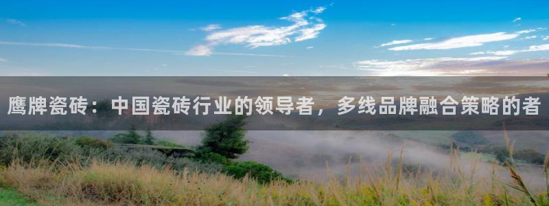 金年会国际