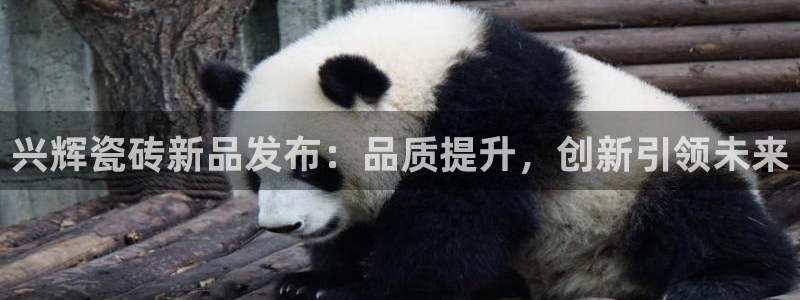 金年会赞助西甲