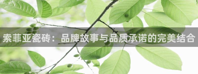 金年会体育平台