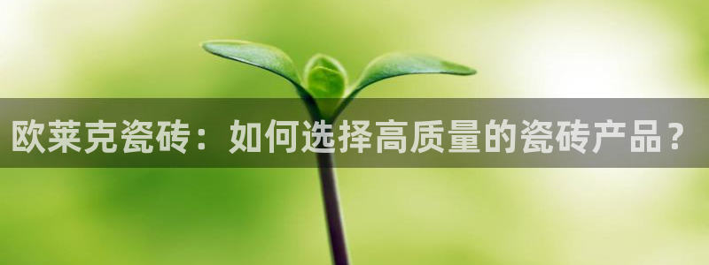 金诺利年会