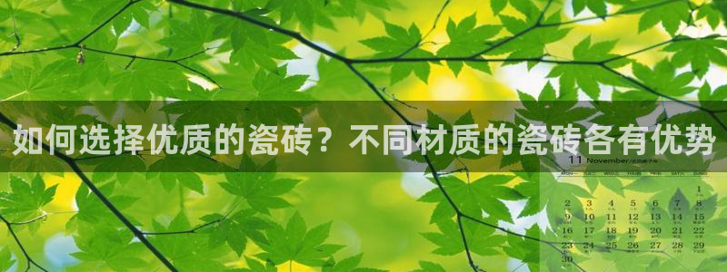 融通金年会