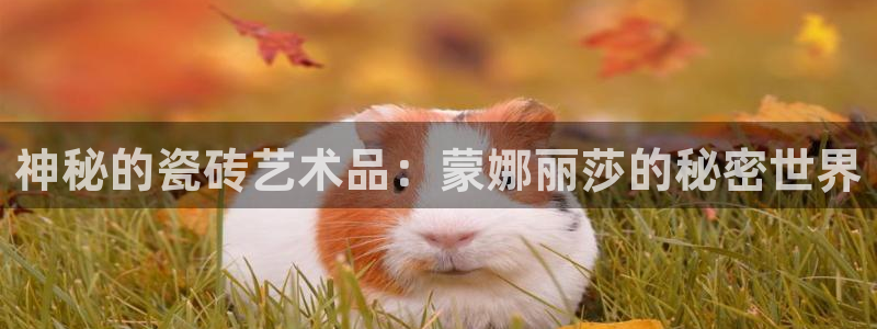 金年会金字招牌下载