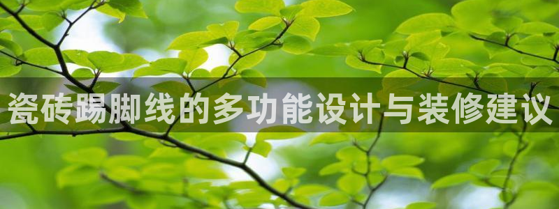 金年会体育下载app