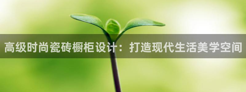 金汉江年会