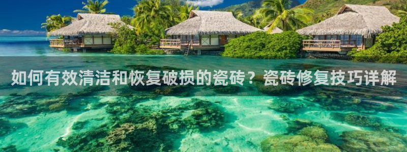 金年会登录入口