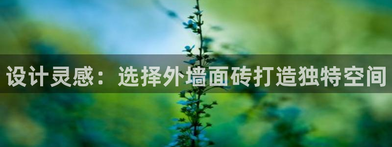 金年会平台是什么