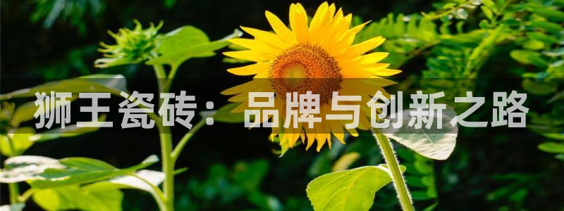 金年会体育官方