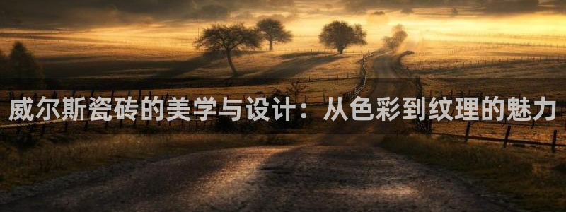 世界杯金年会app下载