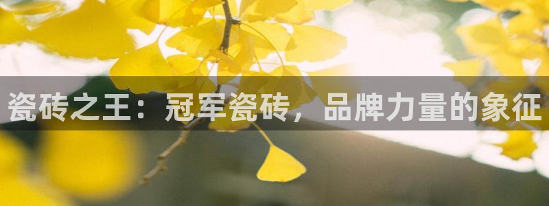 陆金所 年会