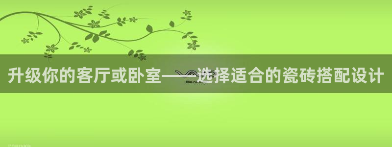 金帆年会2019