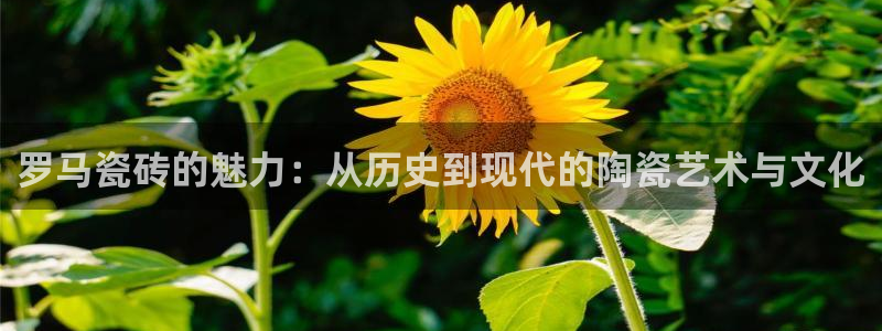 金年会官方网址登录路线