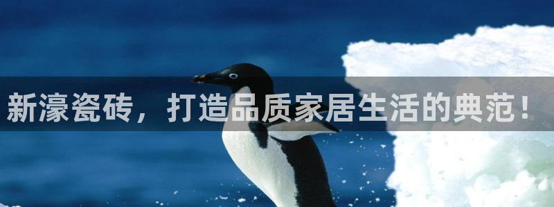 金年会游戏官网