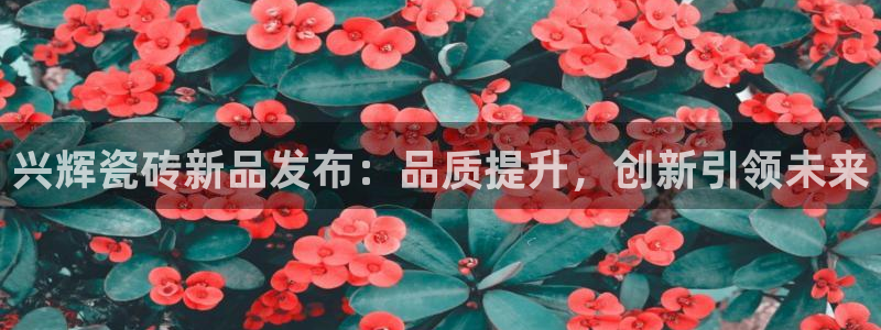 金年会综合APP