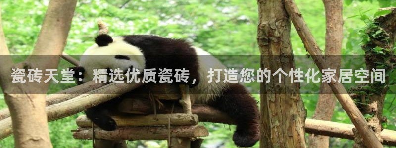 金年会会