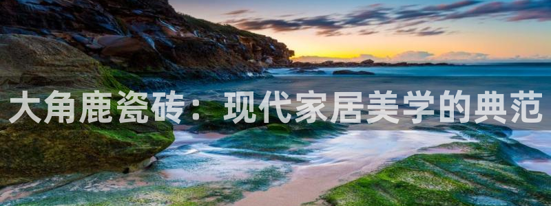 融通金年会