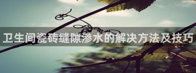 金科年会图片