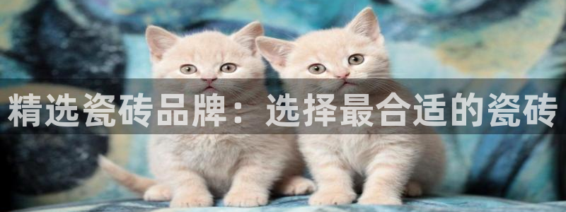 今年会送彩金28