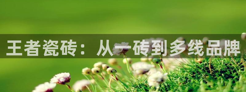 金年会网登录平台入口