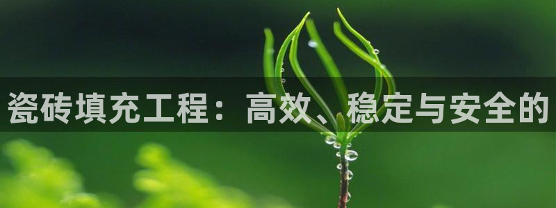 金年会手机网页登录