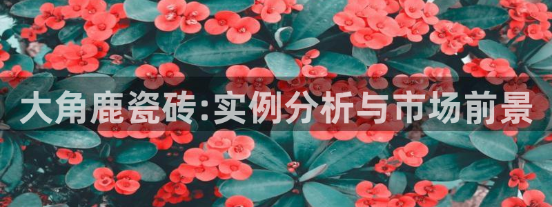 金年会是正规平台吗