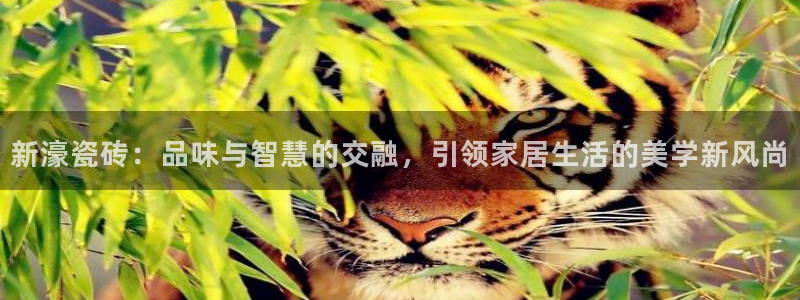 金联金年会