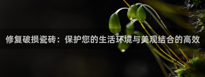 金年会平台包赔