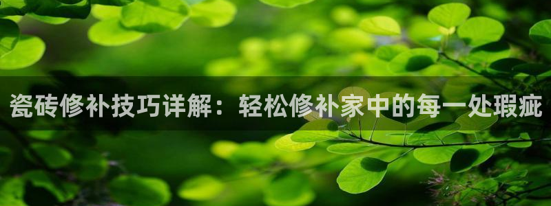 金年会网官网新版