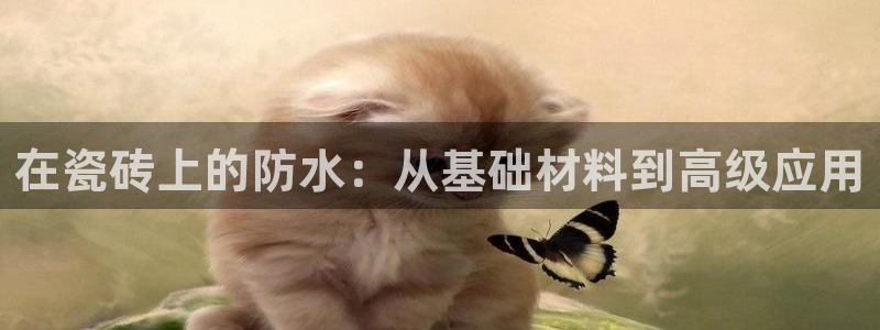 2022金年会
