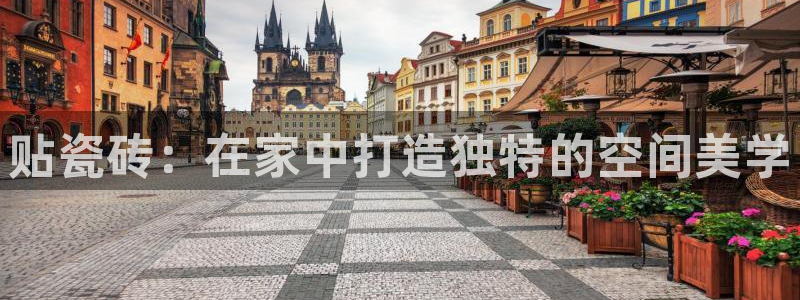 金年会国际
