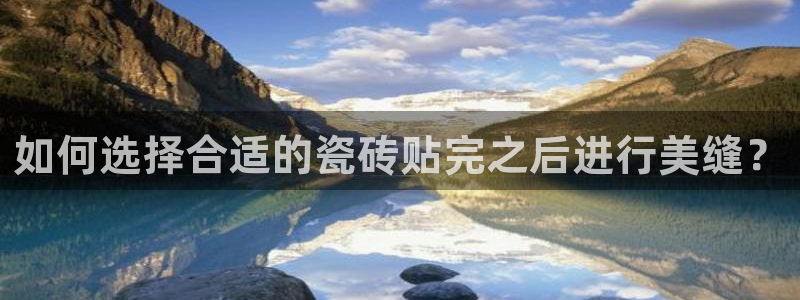 今年会金年会