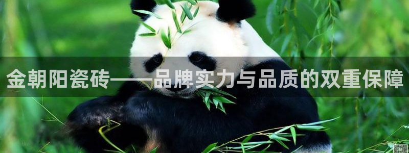 金年会下载官方