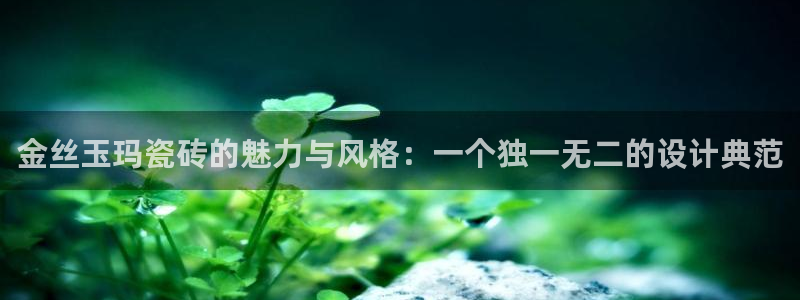 金年会官网地址